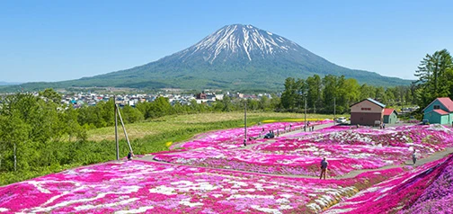 ニセコ・ルスツ