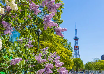 大通公園