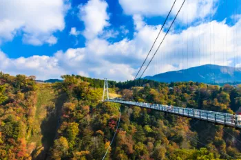 九重“夢”大吊橋