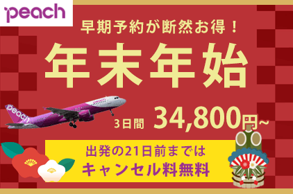 北海道旅行・ツアー：peachで行く年末年始