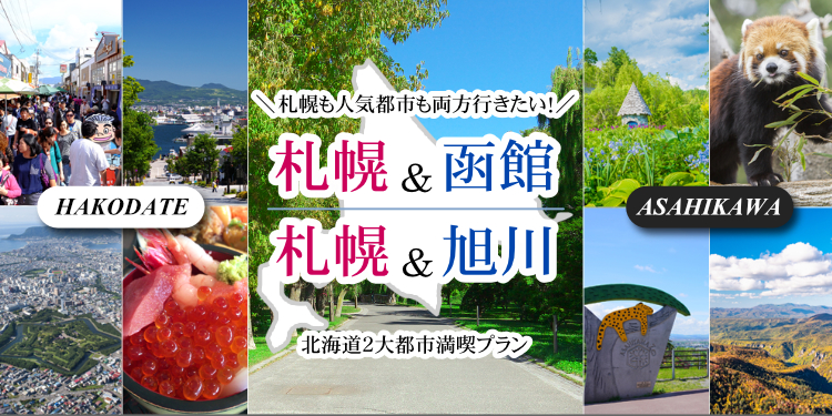 2大都市周遊 札幌＆函館または旭川！