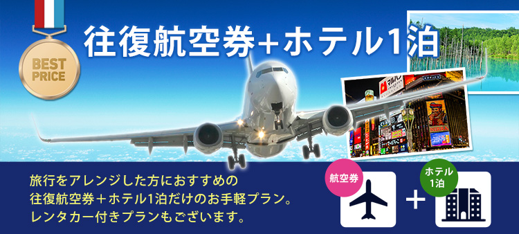 往復航空券+ホテル1泊プラン