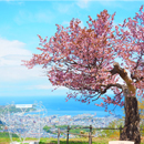 春の北海道旅行イメージ