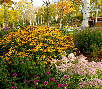 北海道ガーデン街道チケットのご案内