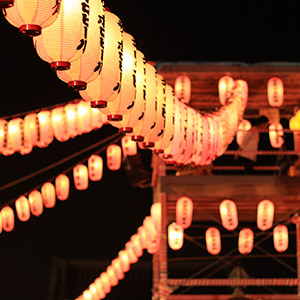 8���̖k�C���͂���Ȋ���