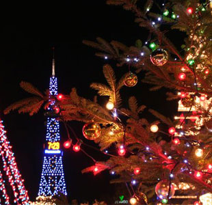 12月の北海道はこんな感じ