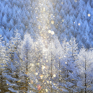 2���̖k�C���͂���Ȋ���