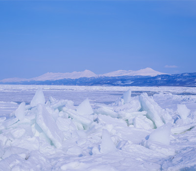 流氷を見に行く