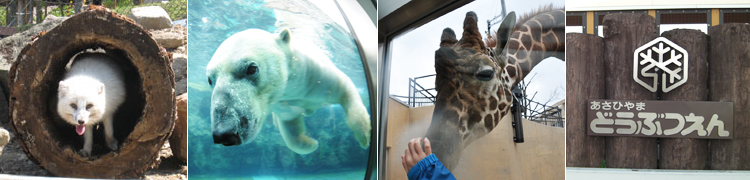 　旭山動物園バスのご案内