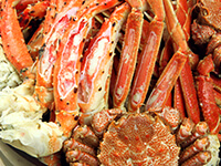 JAPANESE BUFFET DINING 伝