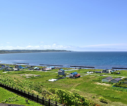 道北のおすすめ観光地 観光スポット 夏も冬も楽しめる北海道