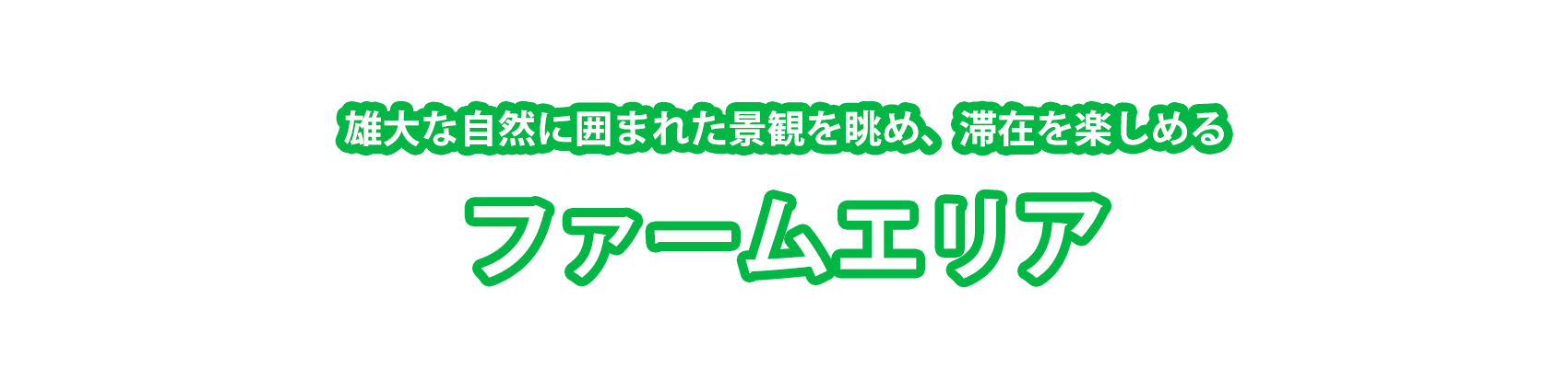 最高の夏休みを沖縄で！