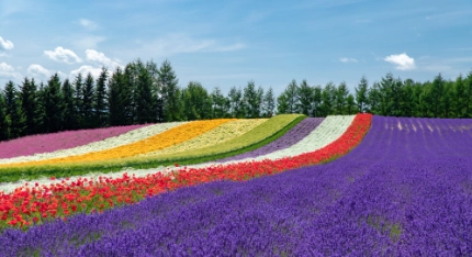 北海道