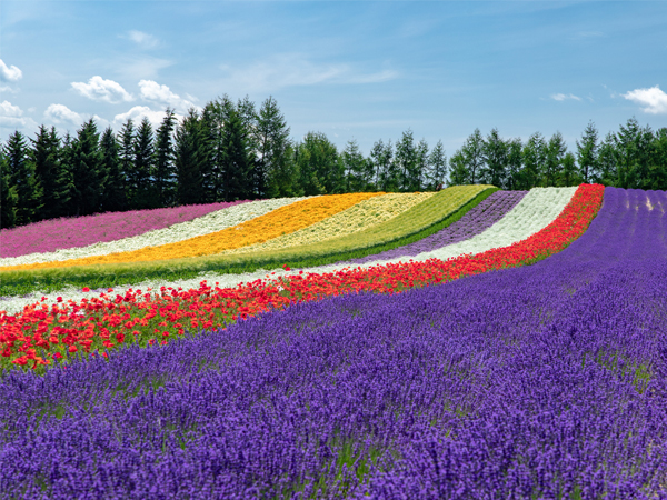 北海道