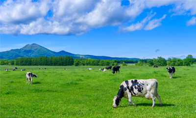 北海道旅行イメージ